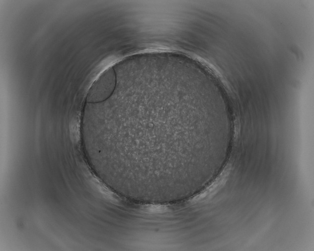 X0000111591409200907231205