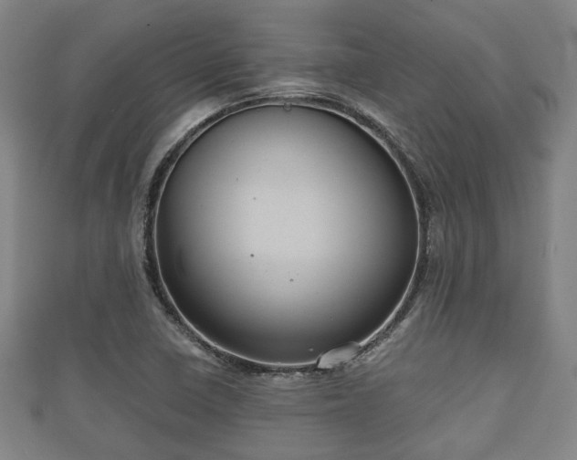 X0000111591410200907231205