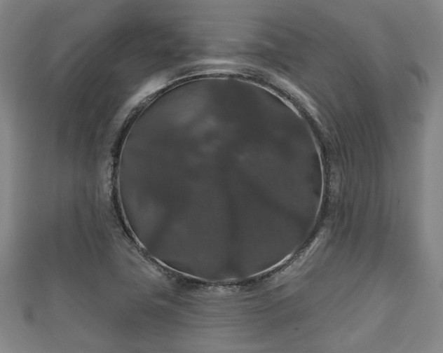 X0000111591411200907231205