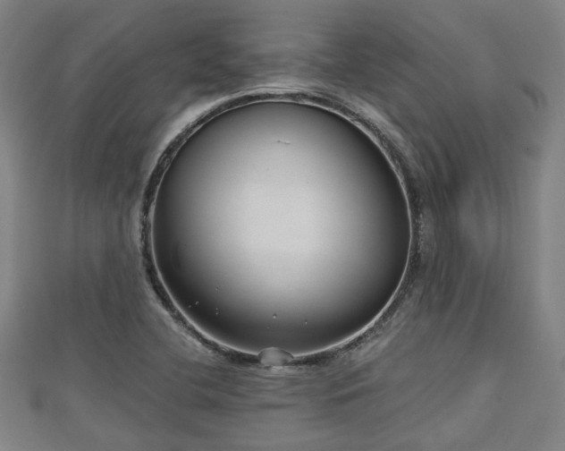 X0000111591412200907231205