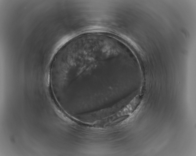 X0000111591413200907231205