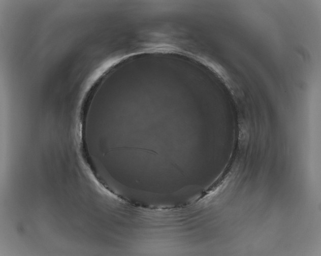 X0000111591414200907231205