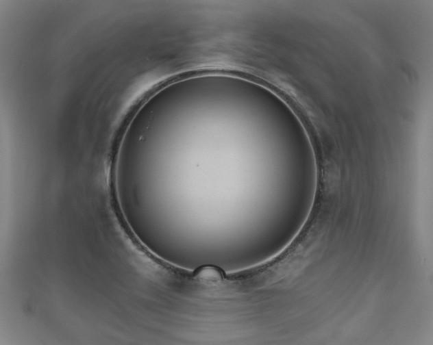 X0000111591416200907231205