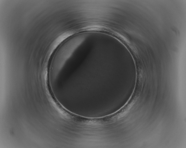 X0000111591418200907231205