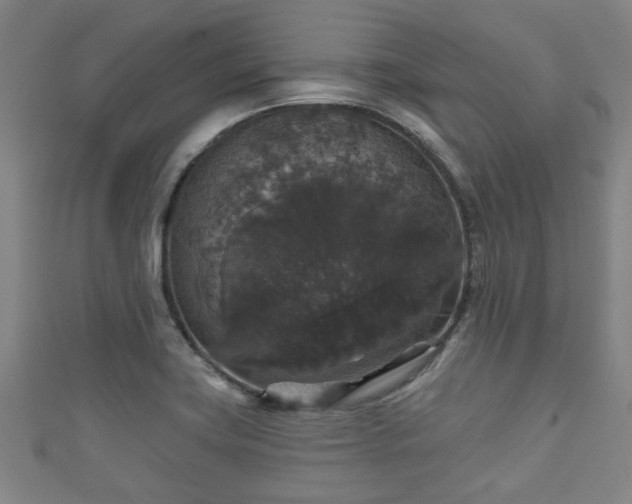 X0000111591419200907231205