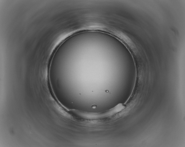 X0000111591420200907231205