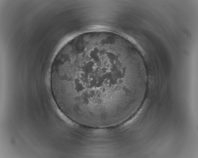 X0000111591421200907231205