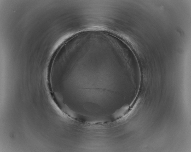 X0000111591422200907231205