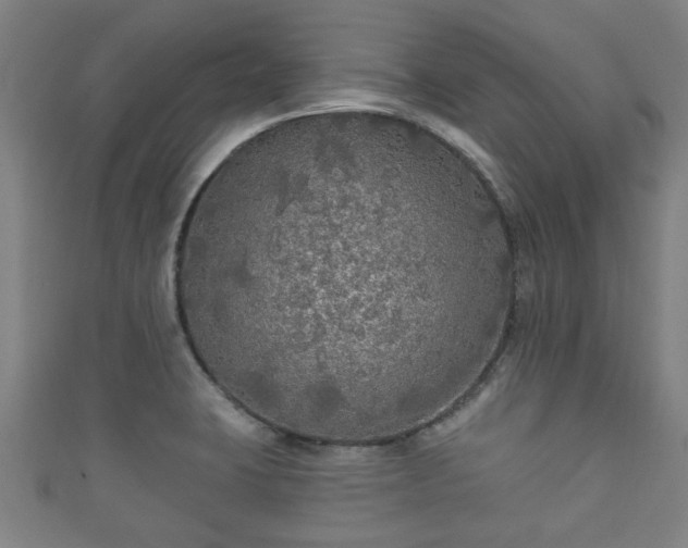 X0000111591423200907231205