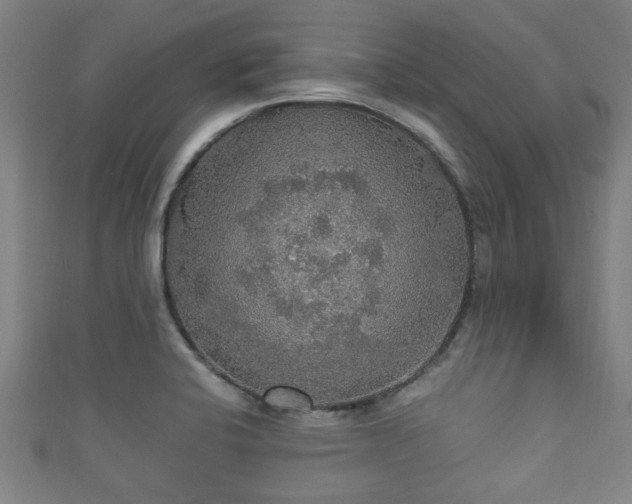 X0000111591424200907231205