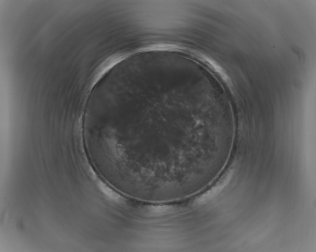 X0000111591425200907231205