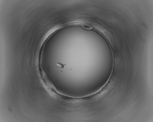 X0000111591426200907231205