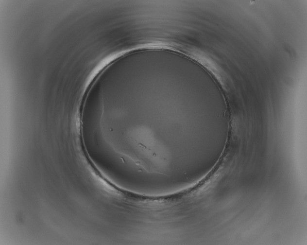 X0000111591428200907231205