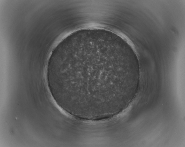 X0000111591429200907231205