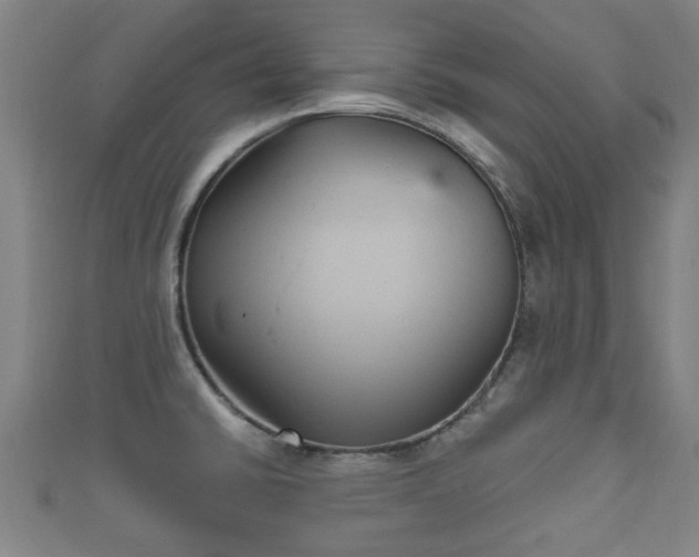 X0000111591430200907231205