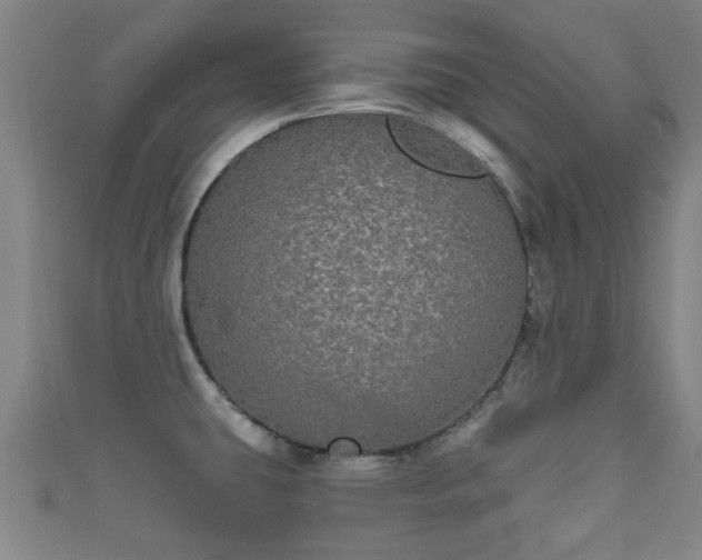 X0000111591431200907231205