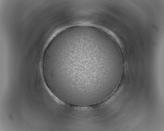 X0000111591432200907231205