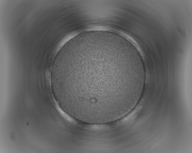 X0000111591433200907231205