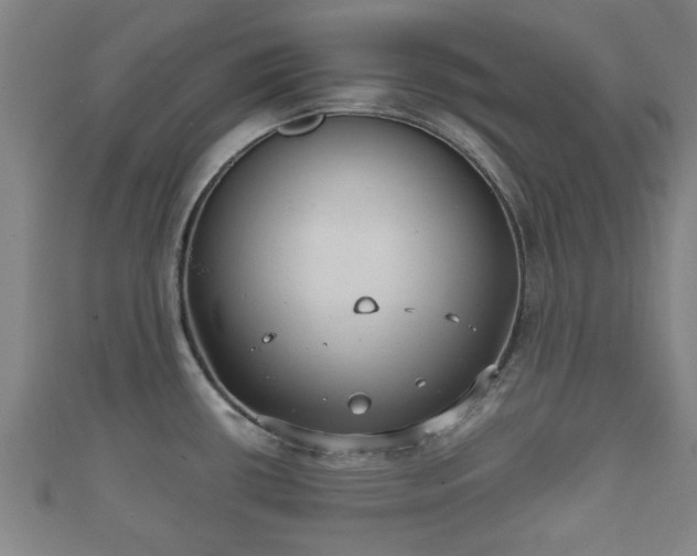 X0000111591434200907231205