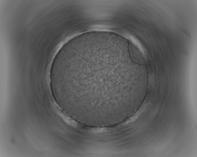 X0000111591435200907231205