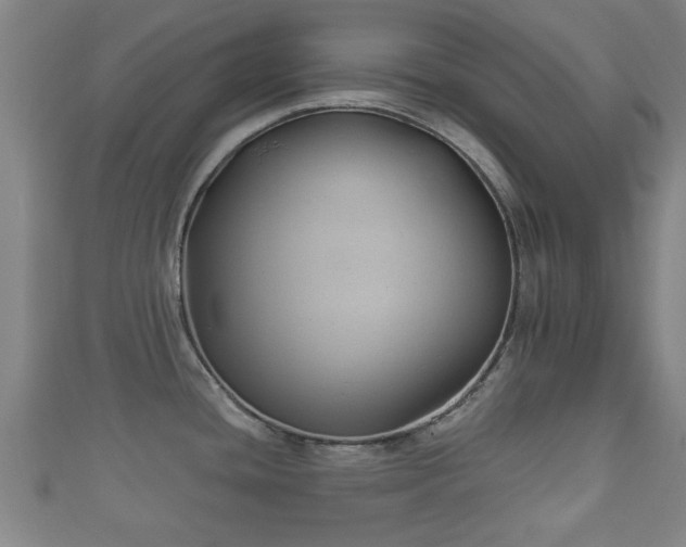 X0000111591436200907231205