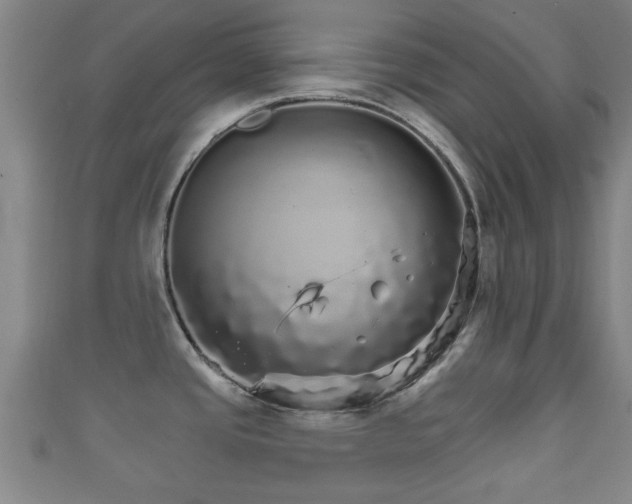 X0000111591437200907231205