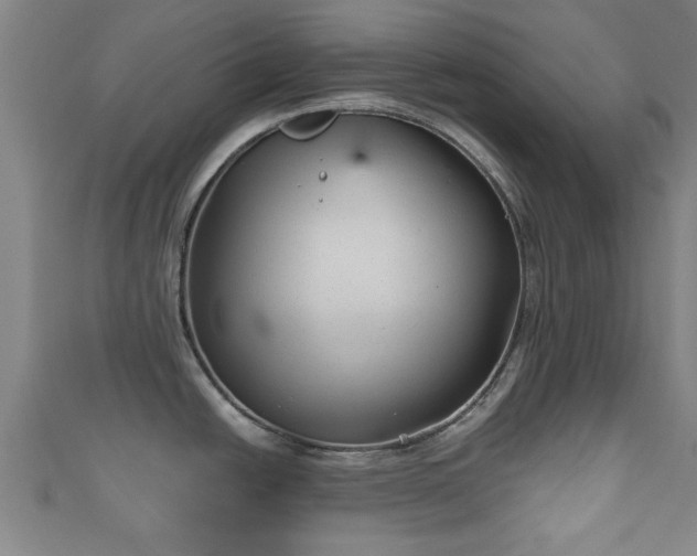 X0000111591438200907231205