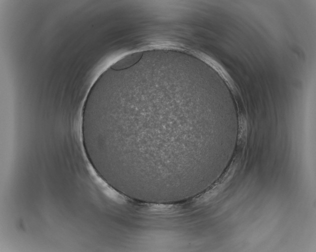 X0000111591439200907231205