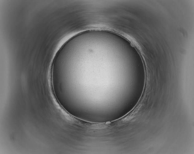 X0000111591440200907231205