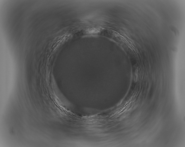 X0000111591441200907231205