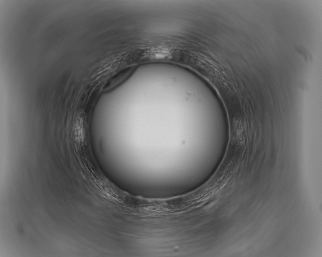 X0000111591442200907231205