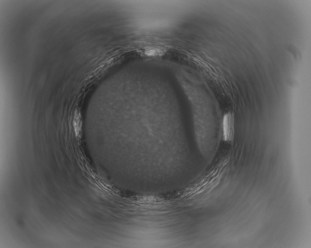 X0000111591443200907231205