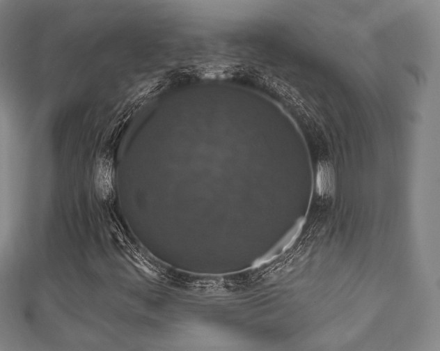 X0000111591444200907231205