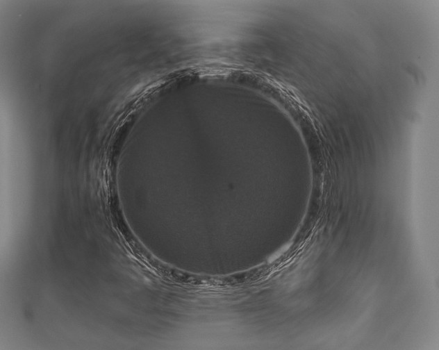 X0000111591445200907231205