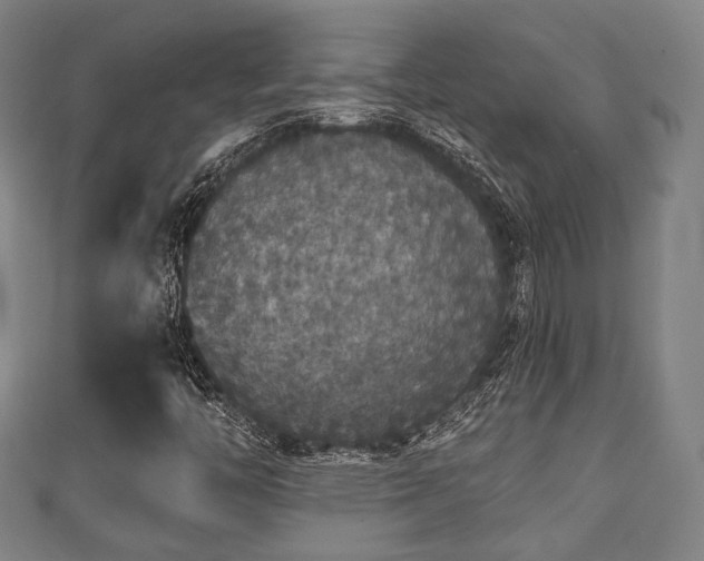 X0000111591446200907231205