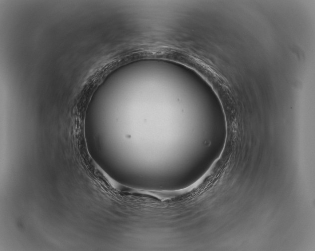 X0000111591447200907231205