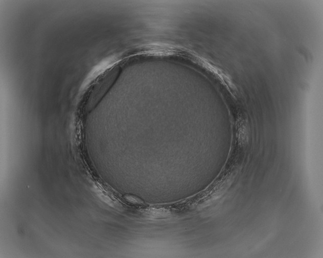 X0000111591448200907231205