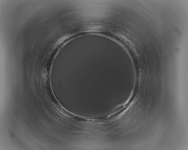 X0000111591449200907231205