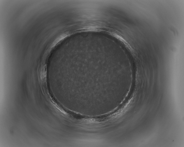 X0000111591450200907231205