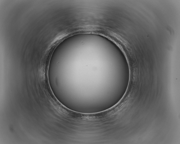 X0000111591451200907231204