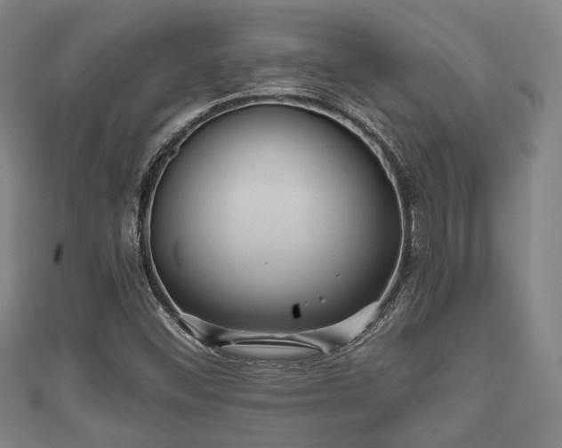 X0000111591452200907231204