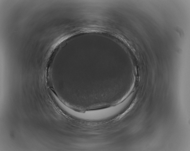 X0000111591453200907231204