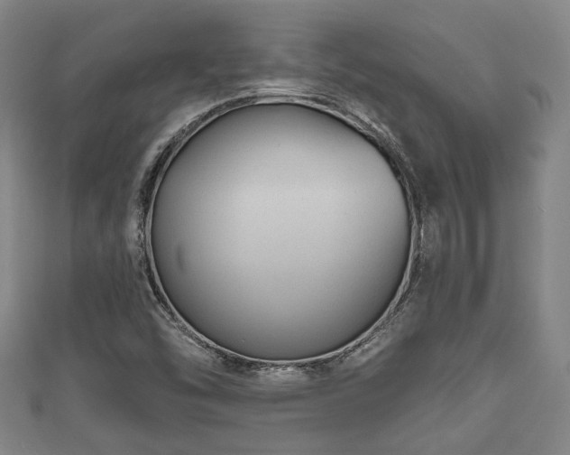 X0000111591454200907231204