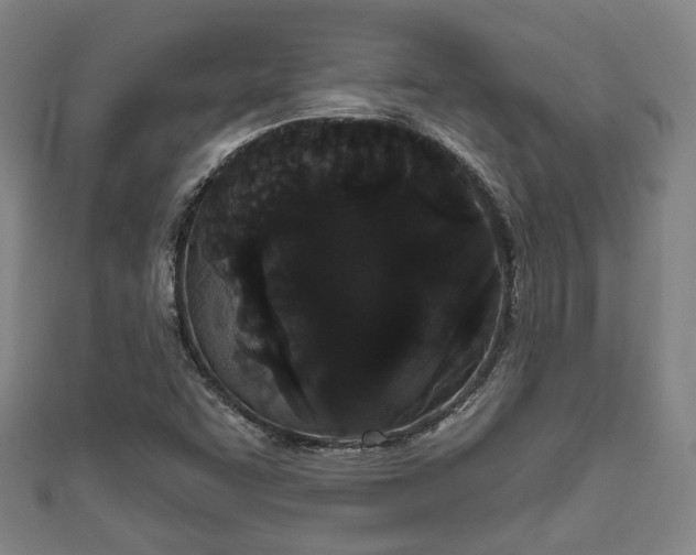 X0000111591455200907231204