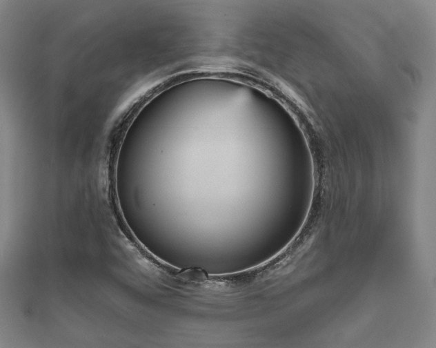 X0000111591456200907231204