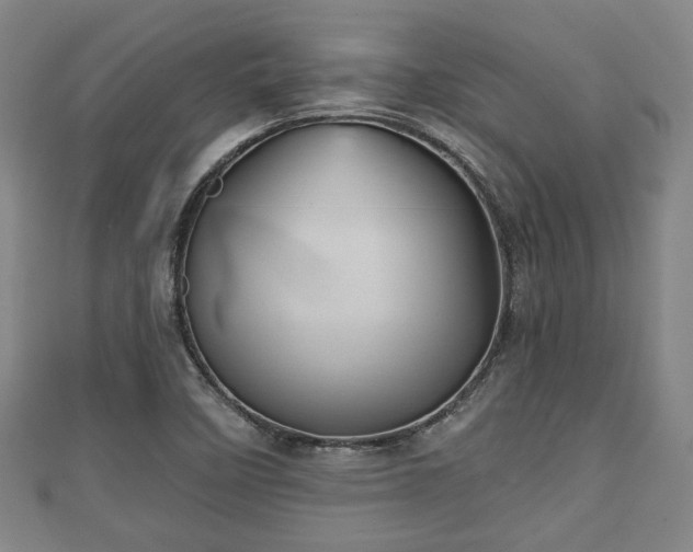 X0000111591458200907231204