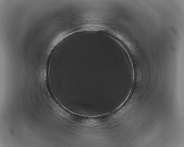 X0000111591459200907231204