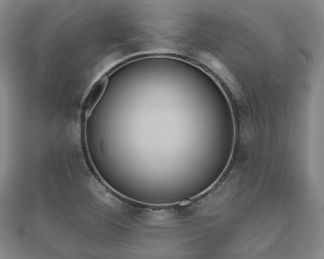 X0000111591460200907231204