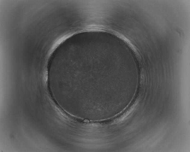 X0000111591461200907231204