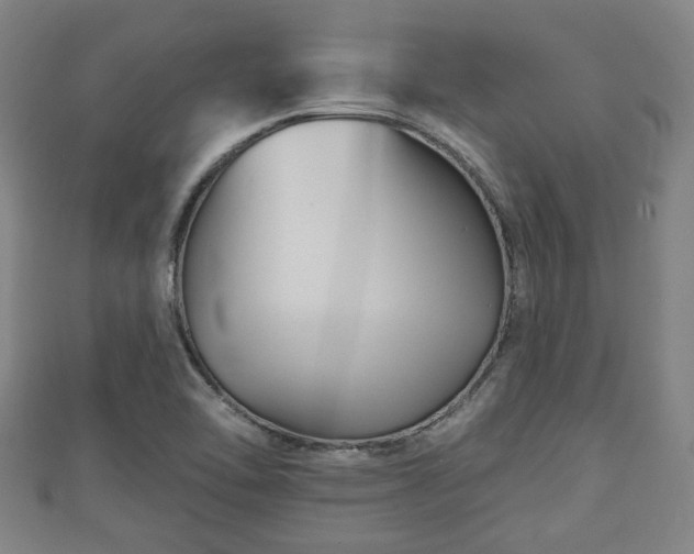 X0000111591462200907231204